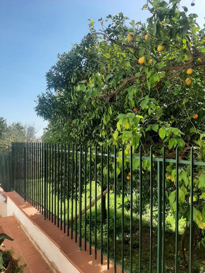 Villa Vesuvius Napoli Bagian luar foto